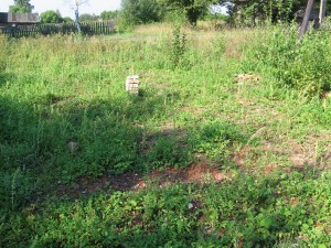 8. Место храма в Вознесении